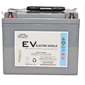 DGY 12-33EV (12V 33Ah)